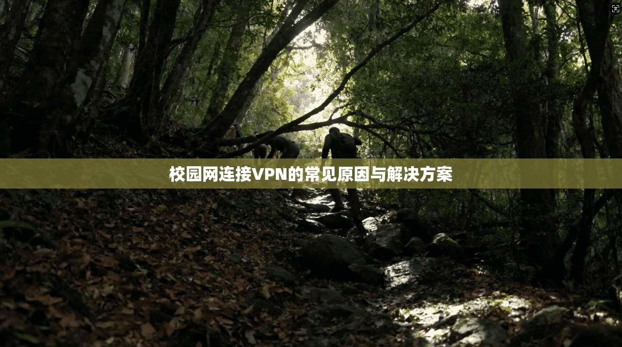 校园网连接VPN的常见原因与解决方案