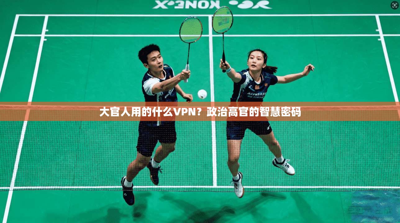 大官人用的什么VPN？政治高官的智慧密码