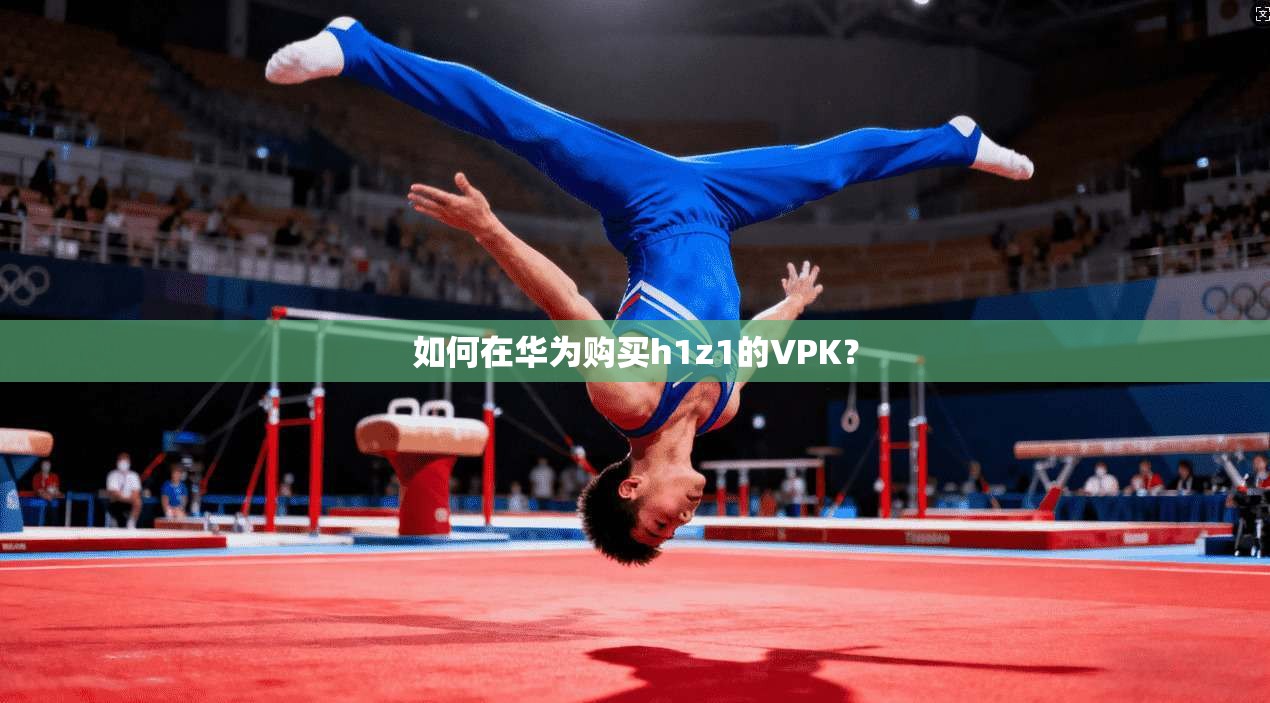 如何在华为购买h1z1的VPK？