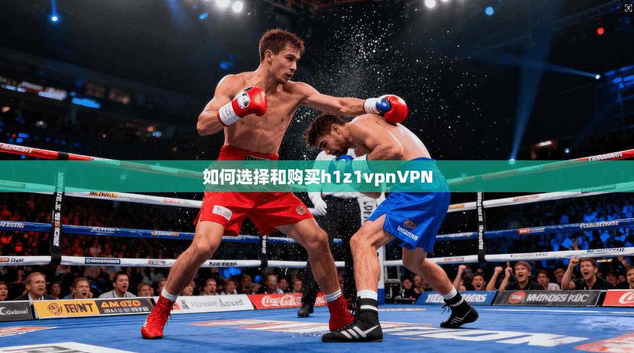 如何选择和购买h1z1vpnVPN