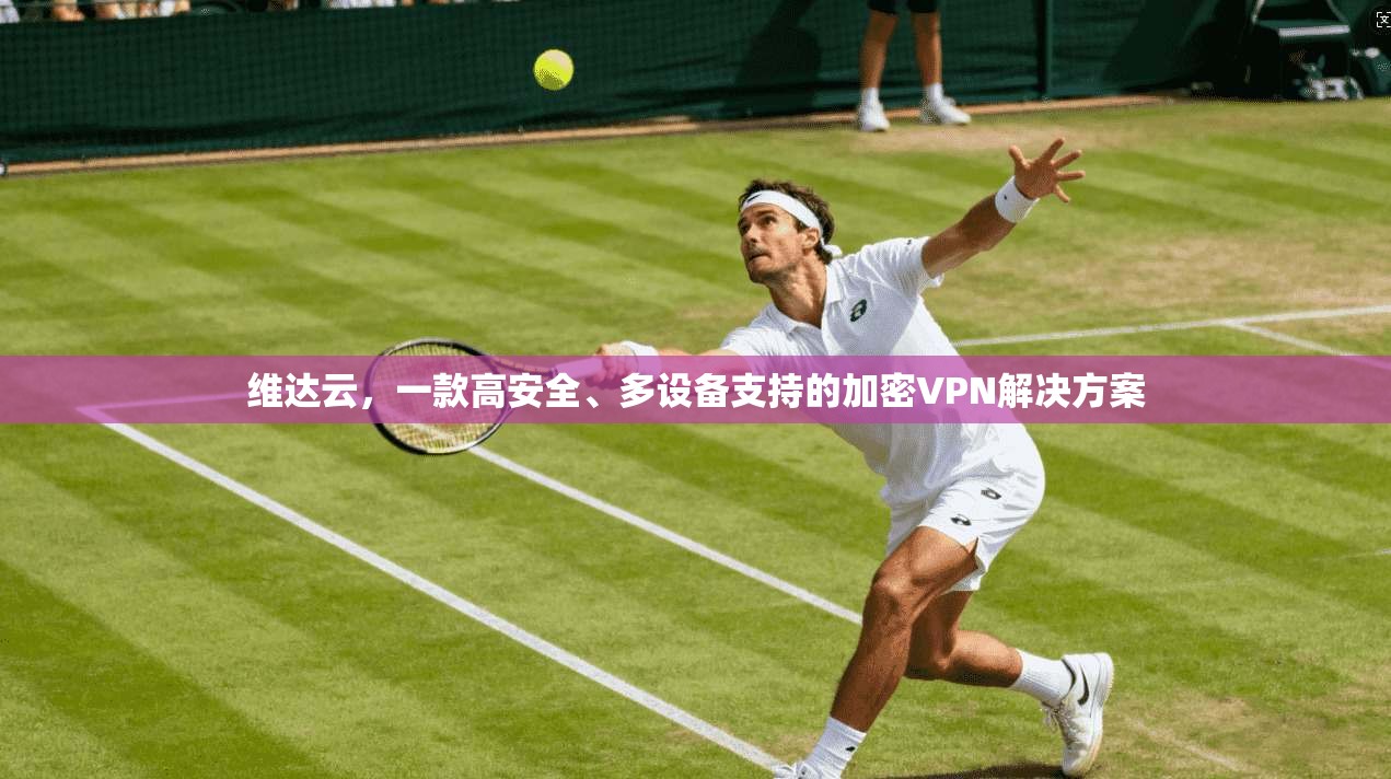 维达云，一款高安全、多设备支持的加密VPN解决方案