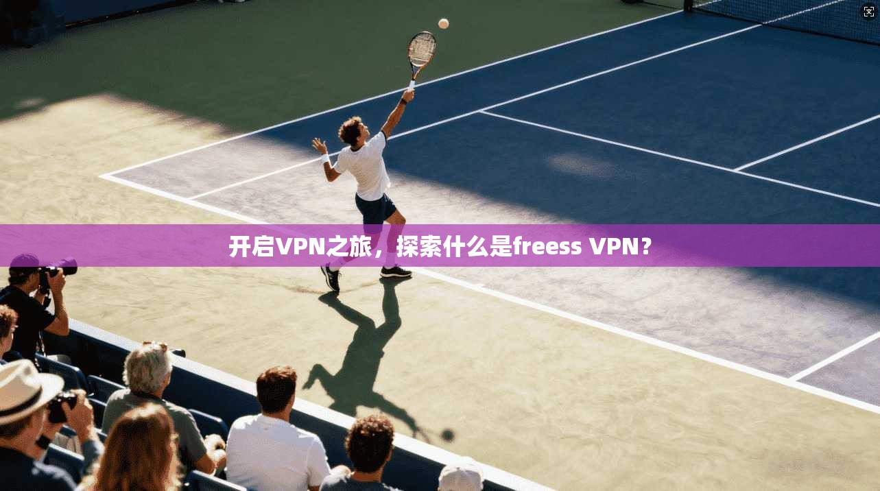 开启VPN之旅，探索什么是freess VPN？
