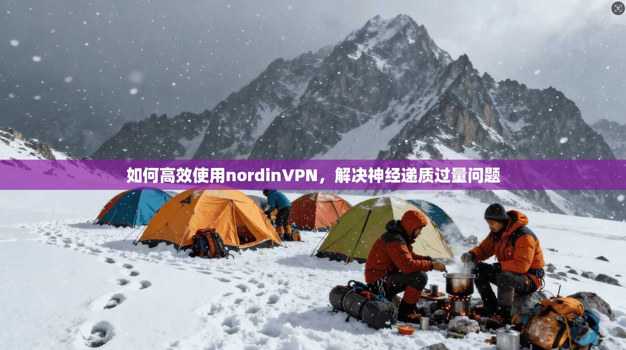 如何高效使用nordinVPN，解决神经递质过量问题