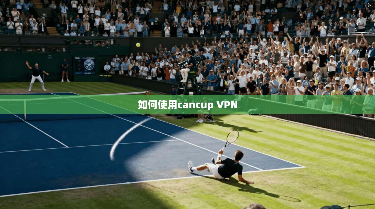 如何使用cancup VPN