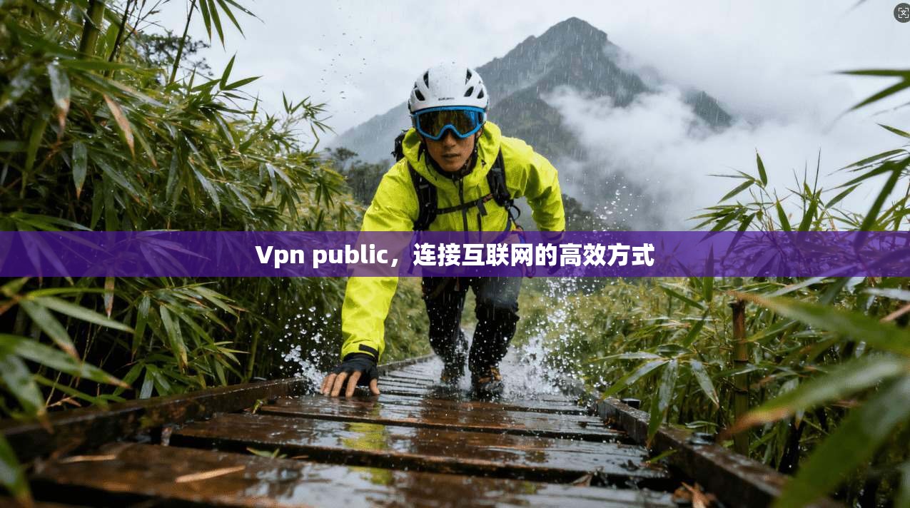 Vpn public，连接互联网的高效方式