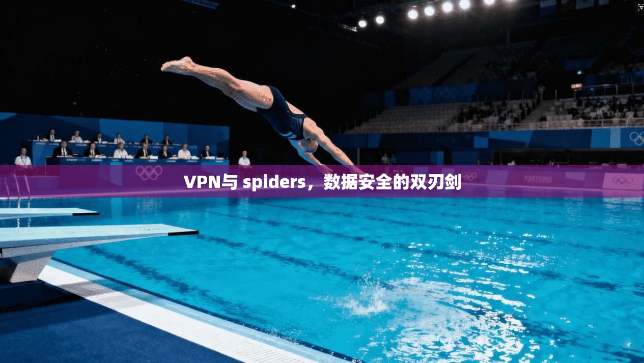 VPN与 spiders，数据安全的双刃剑