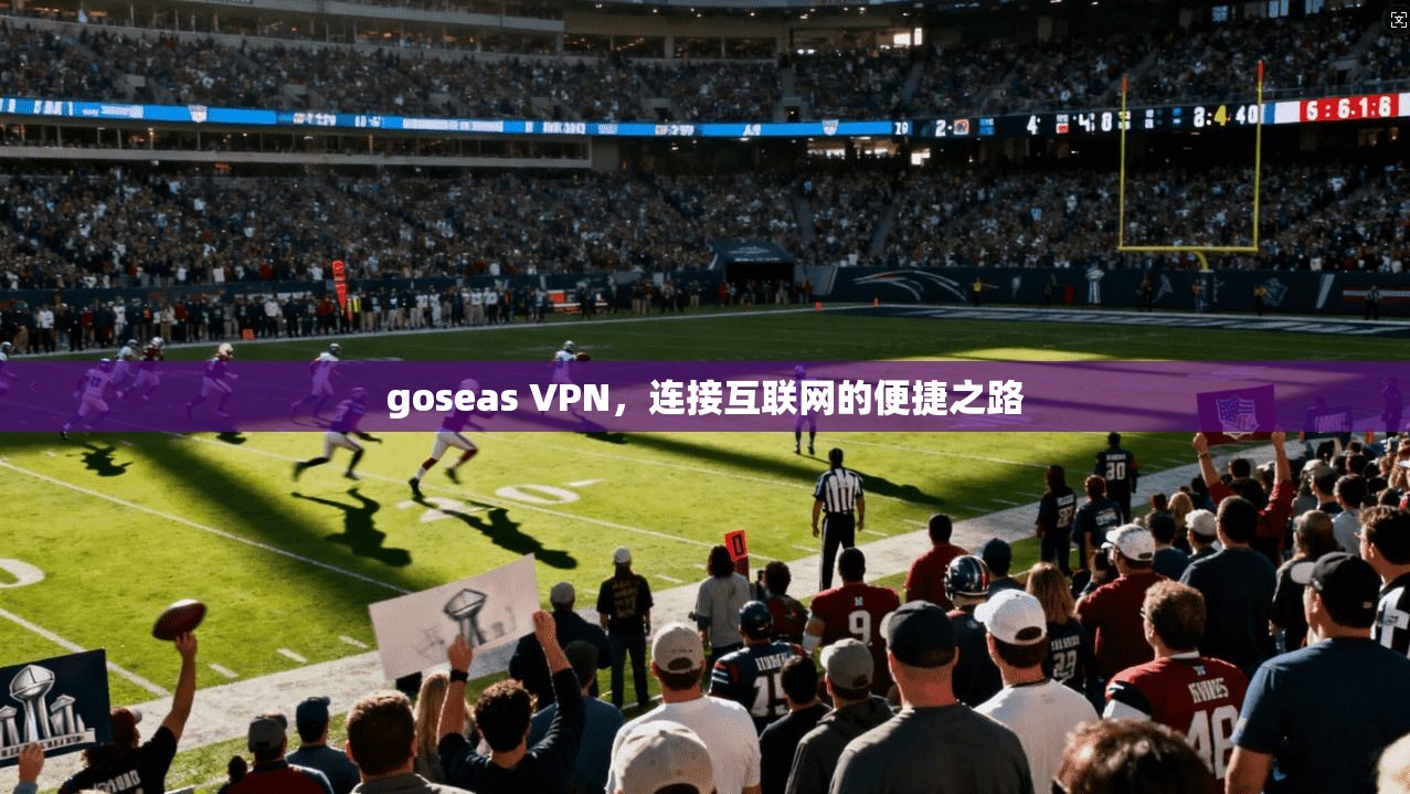 goseas VPN，连接互联网的便捷之路