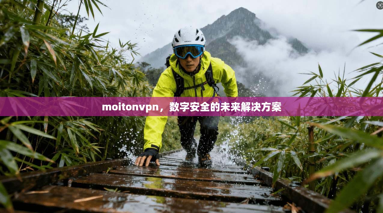 moitonvpn，数字安全的未来解决方案