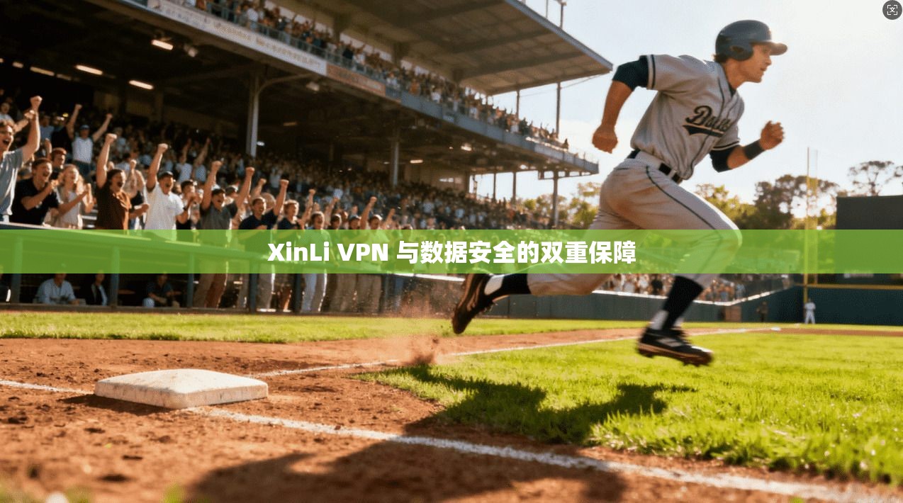 XinLi VPN 与数据安全的双重保障