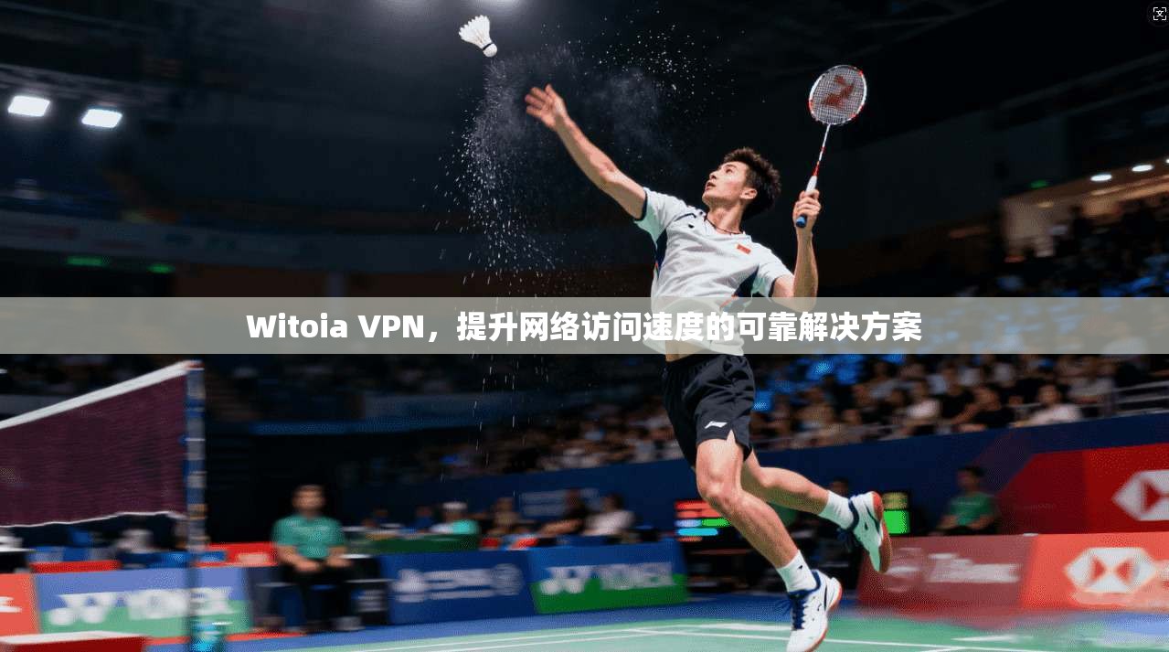 Witoia VPN，提升网络访问速度的可靠解决方案