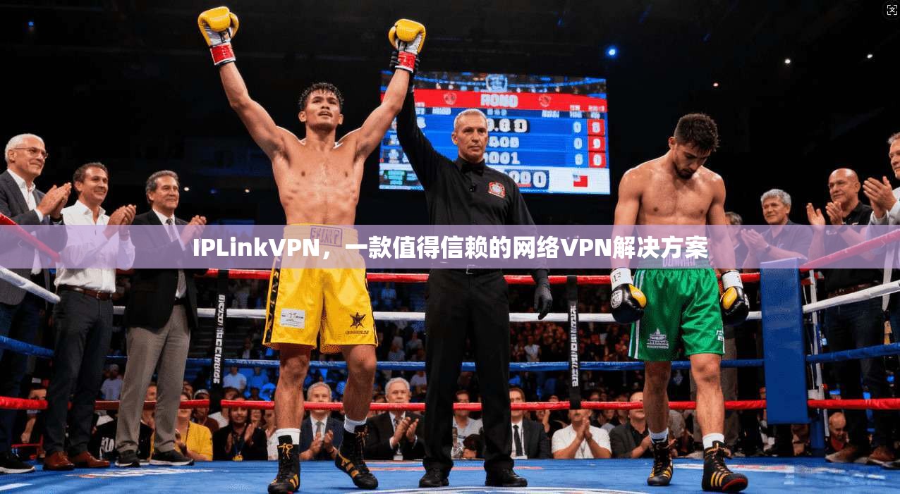 IPLinkVPN，一款值得信赖的网络VPN解决方案