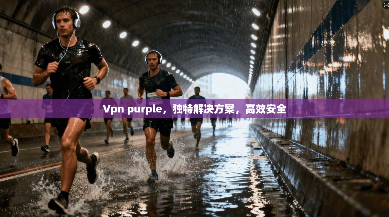 Vpn purple，独特解决方案，高效安全