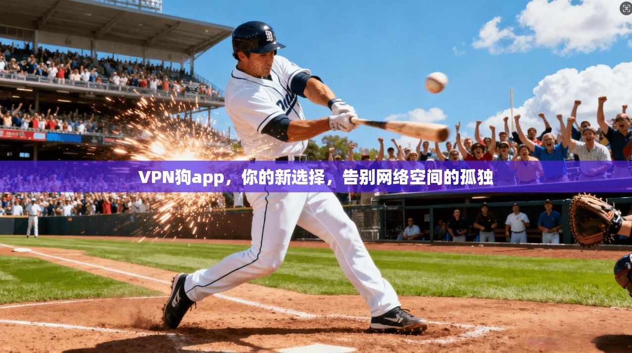 VPN狗app，你的新选择，告别网络空间的孤独
