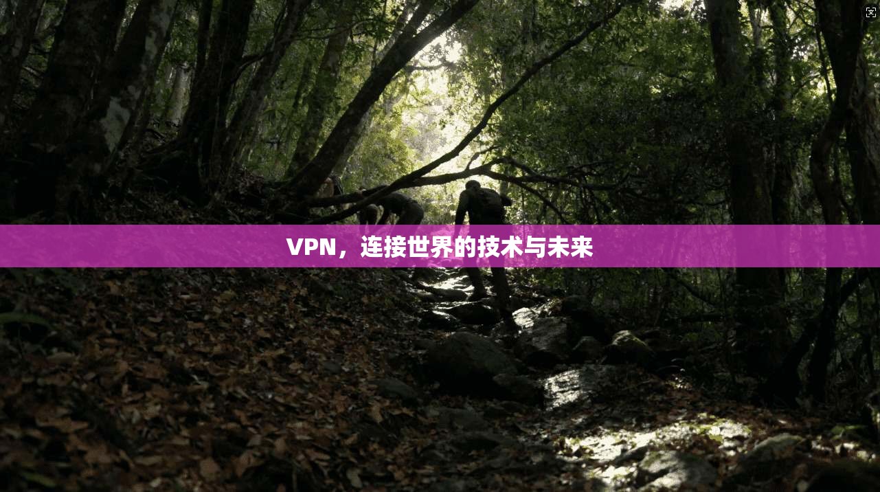 VPN，连接世界的技术与未来