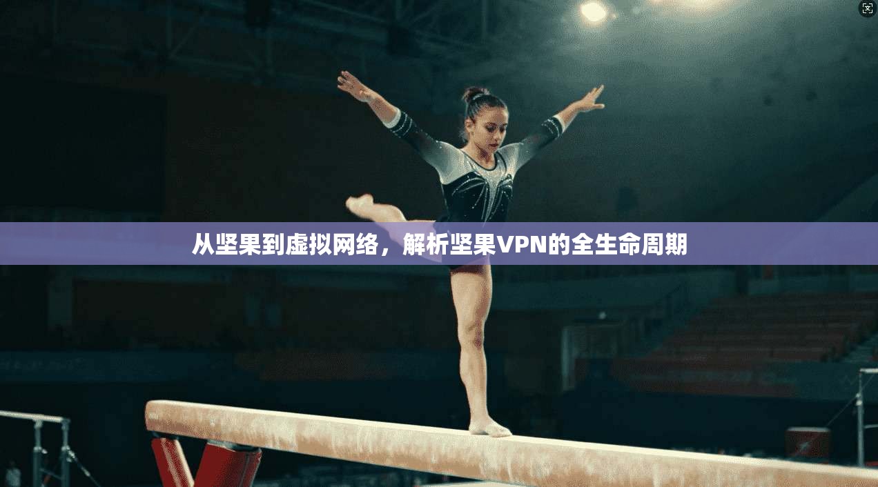 从坚果到虚拟网络，解析坚果VPN的全生命周期