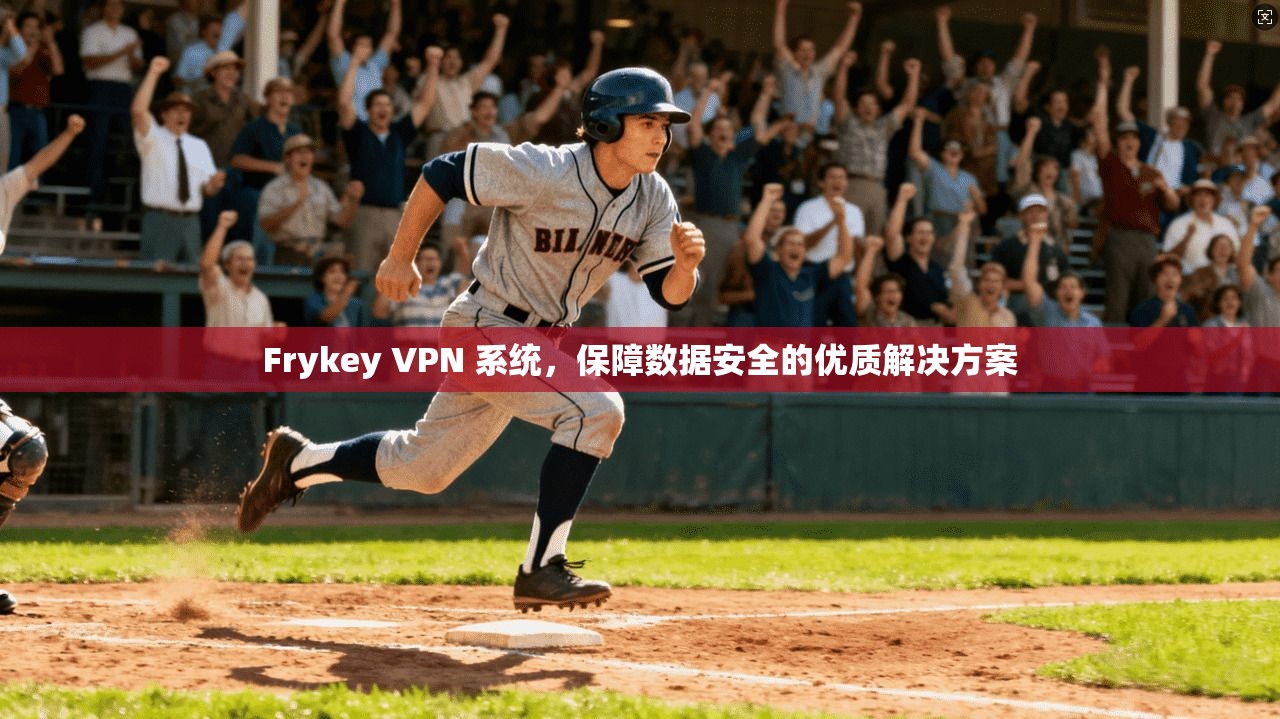 Frykey VPN 系统,保障数据安全的优质解决方案