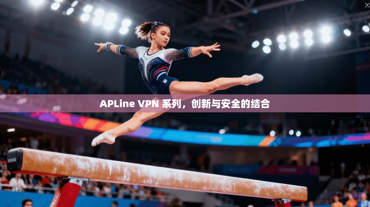 APLine VPN 系列,创新与安全的结合