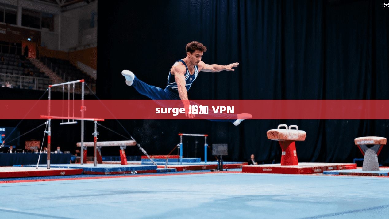 surge 增加 VPN