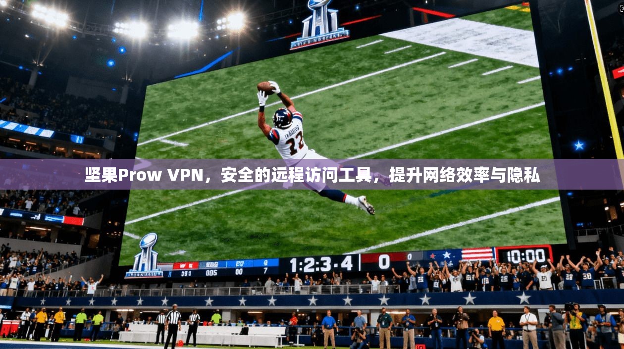 坚果Prow VPN，安全的远程访问工具，提升网络效率与隐私