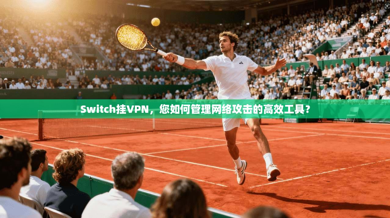 Switch挂VPN，您如何管理网络攻击的高效工具？