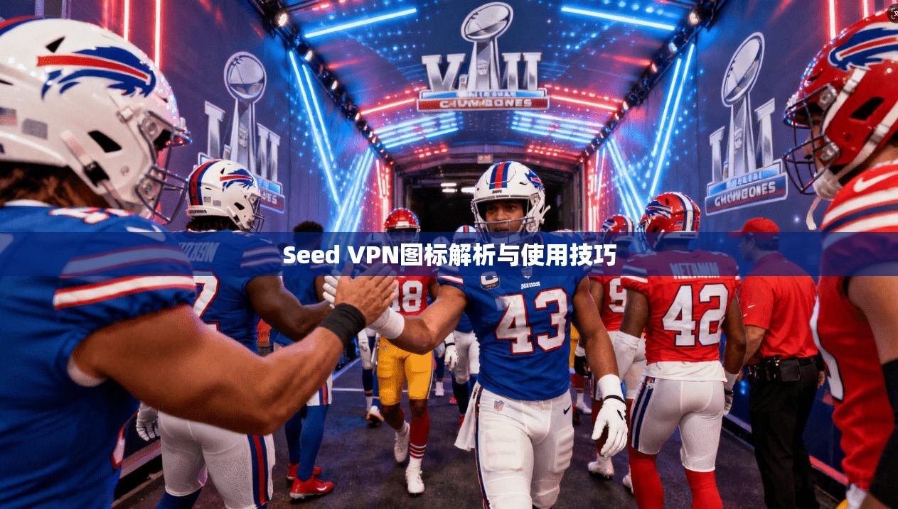 Seed VPN图标解析与使用技巧