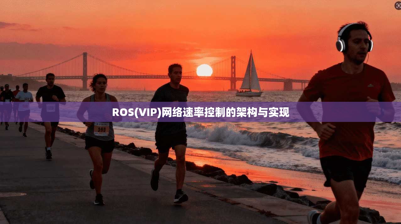 ROS(VIP)网络速率控制的架构与实现
