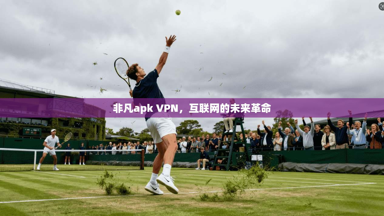非凡apk VPN,互联网的未来革命