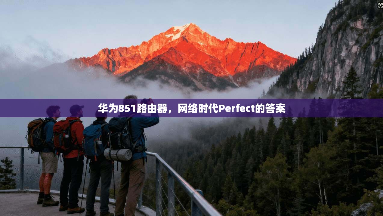 华为851路由器，网络时代Perfect的答案