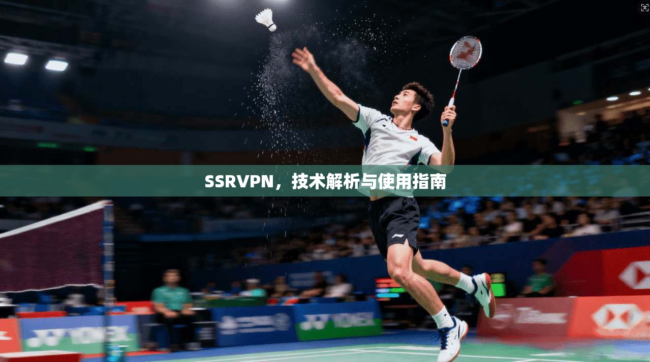 SSRVPN，技术解析与使用指南