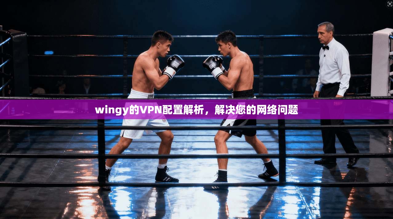 wingy的VPN配置解析，解决您的网络问题