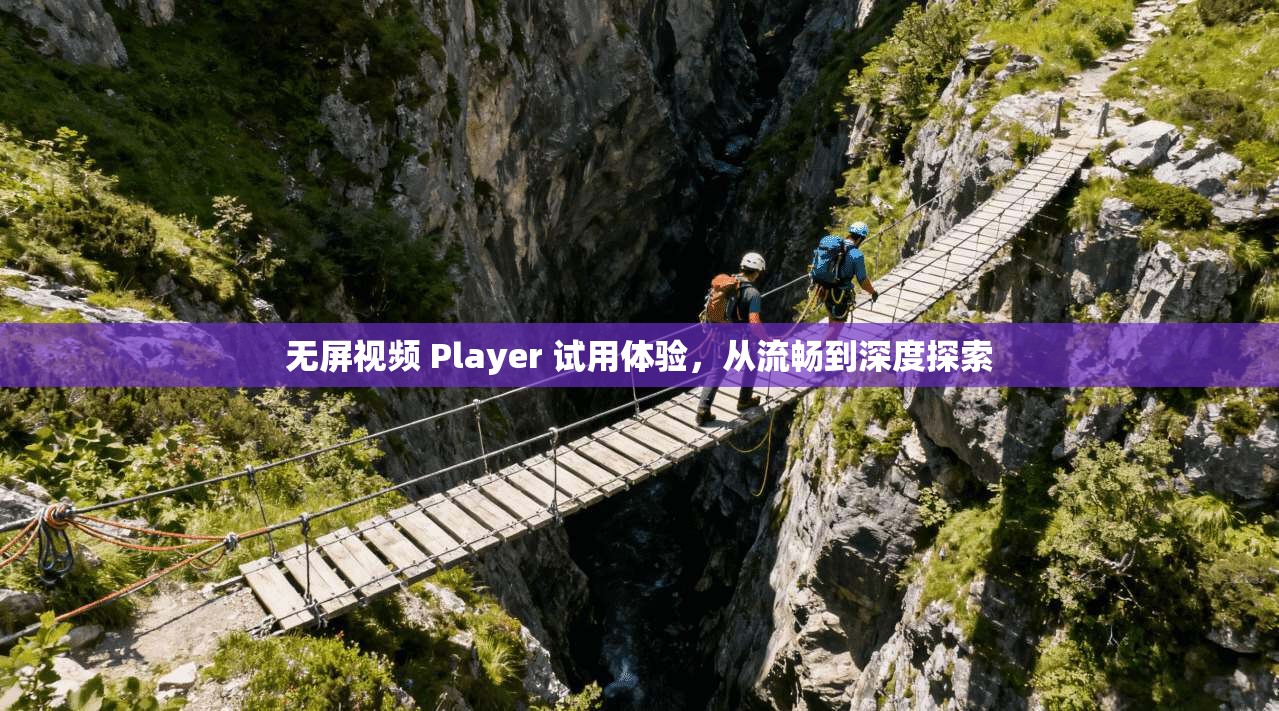 无屏视频 Player 试用体验,从流畅到深度探索