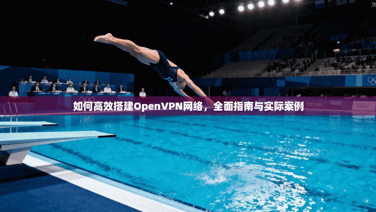 如何高效搭建OpenVPN网络，全面指南与实际案例