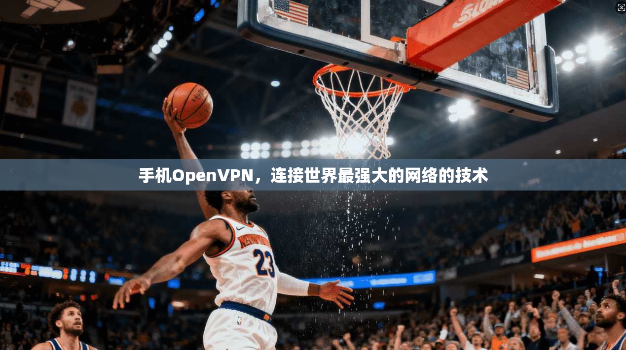 手机OpenVPN，连接世界最强大的网络的技术