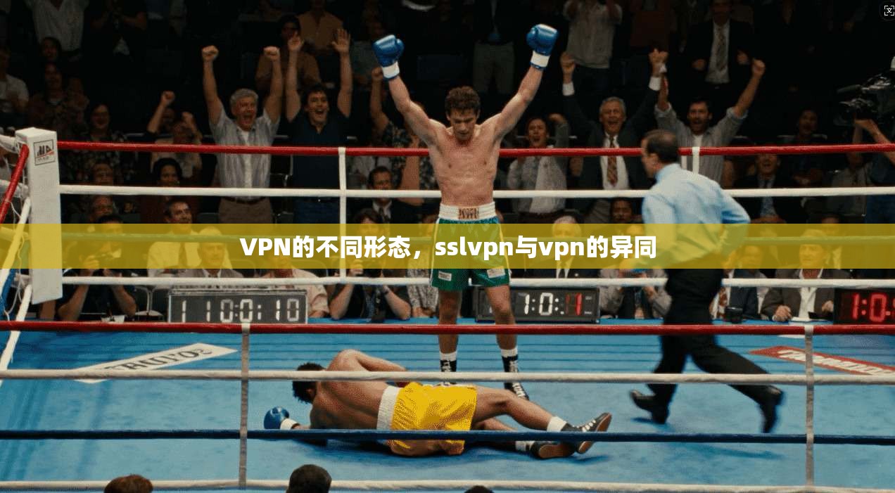 VPN的不同形态，sslvpn与vpn的异同
