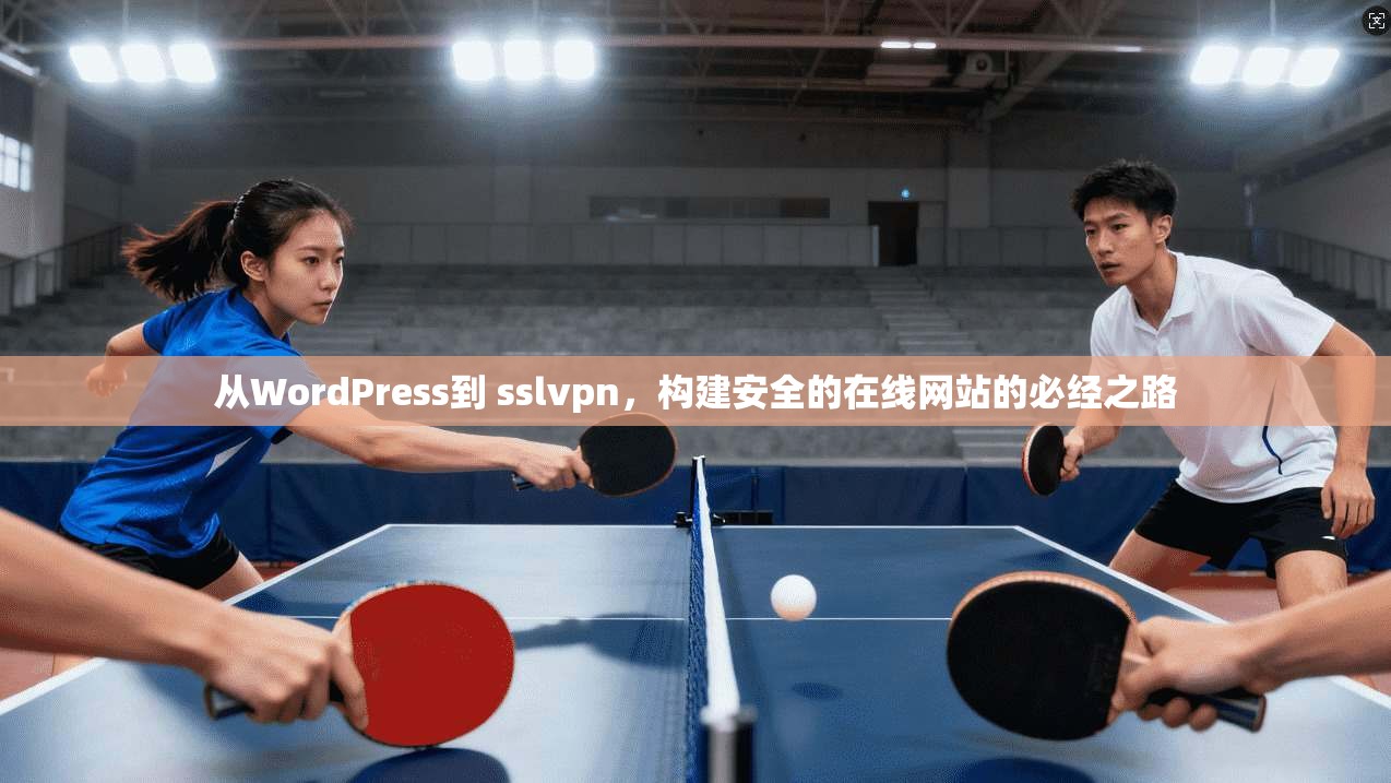 从WordPress到 sslvpn，构建安全的在线网站的必经之路