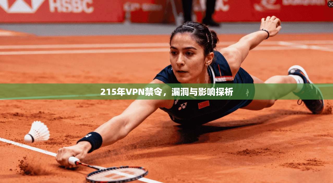 215年VPN禁令，漏洞与影响探析