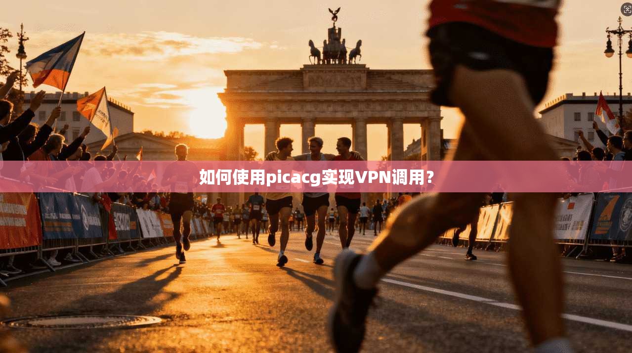 如何使用picacg实现VPN调用？