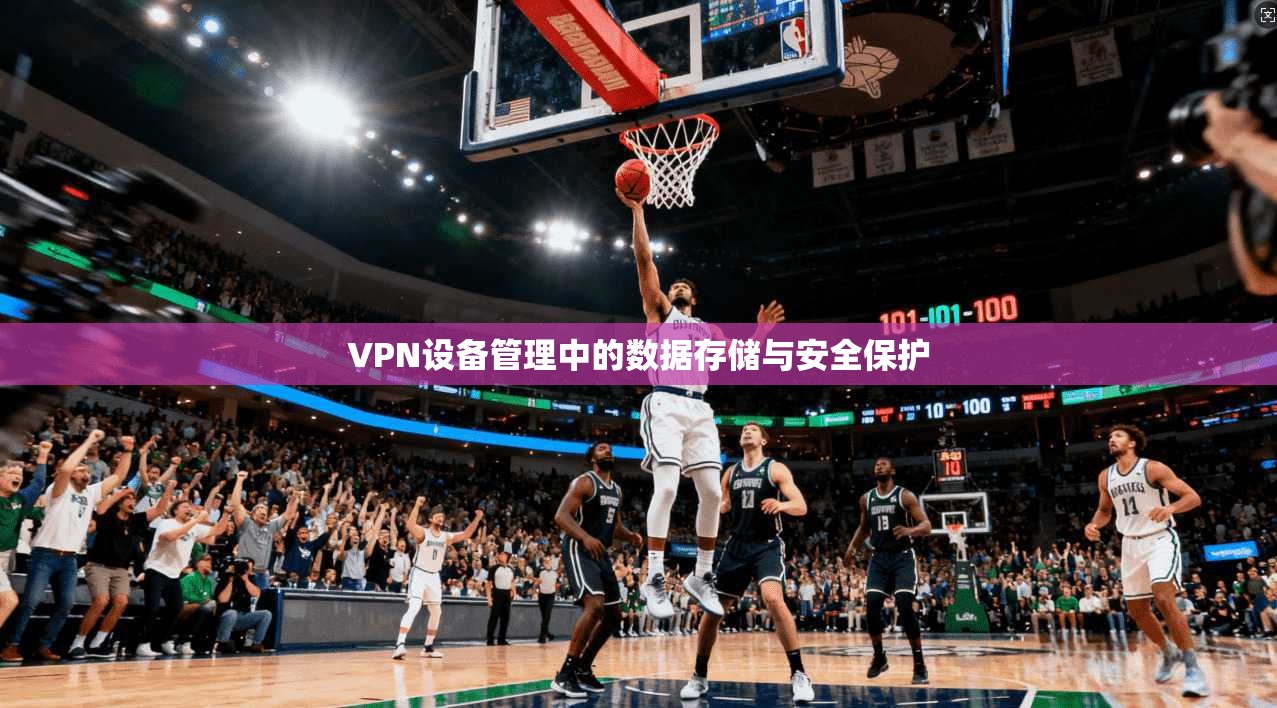 VPN设备管理中的数据存储与安全保护