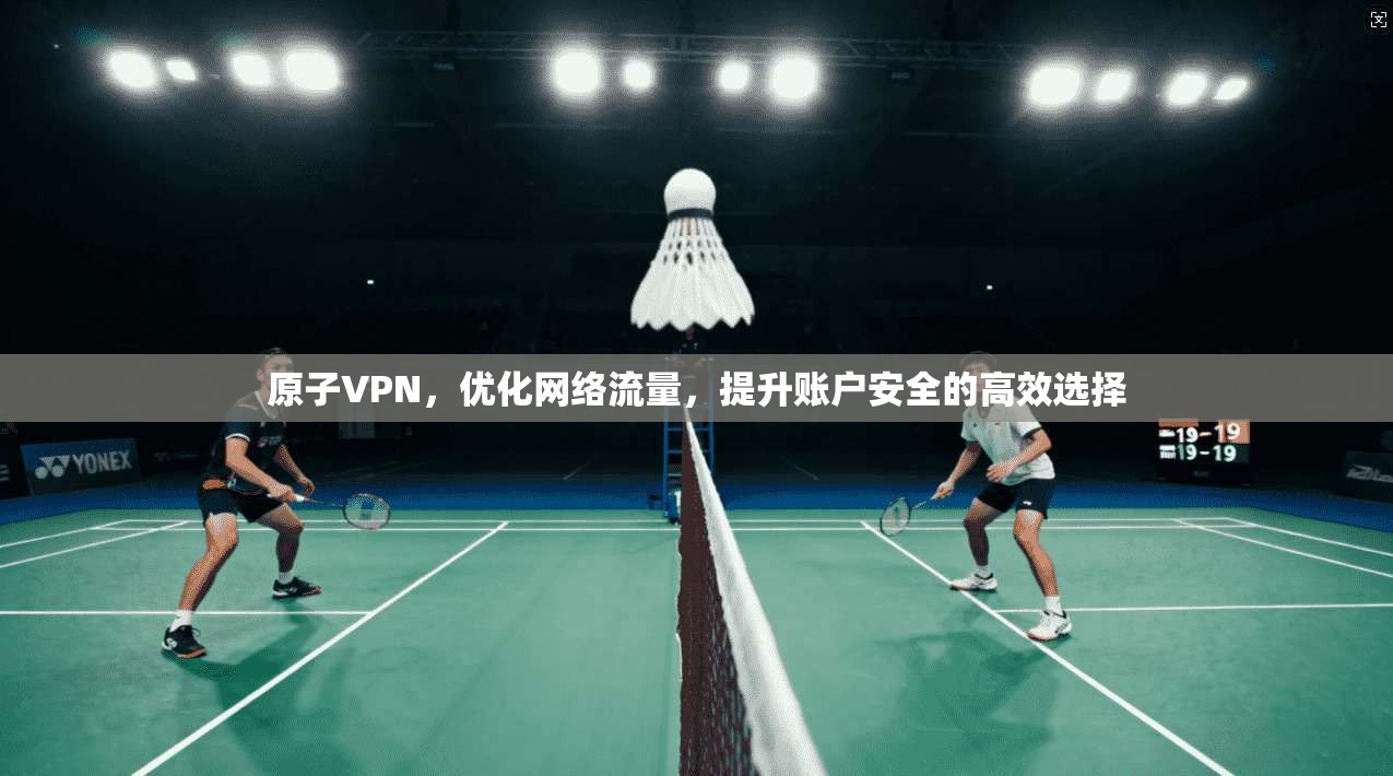 原子VPN,优化网络流量,提升账户安全的高效选择
