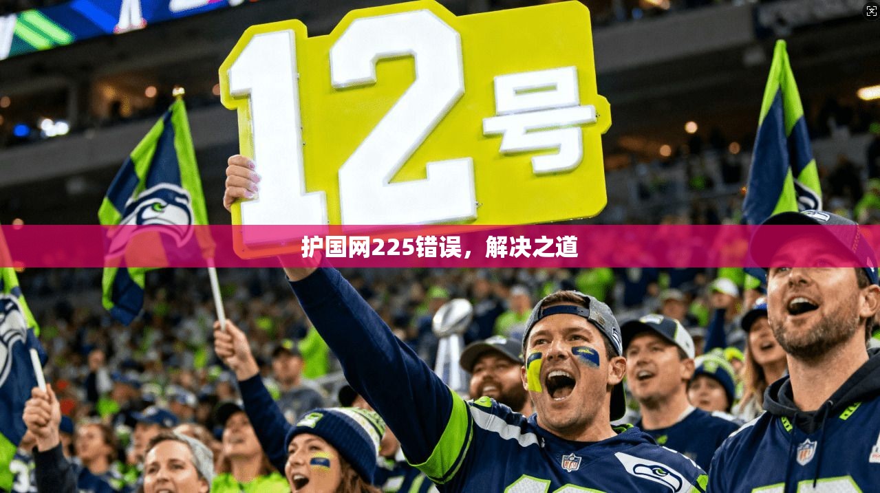 护国网225错误，解决之道