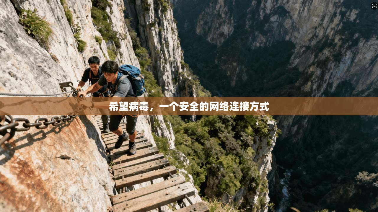 希望病毒，一个安全的网络连接方式