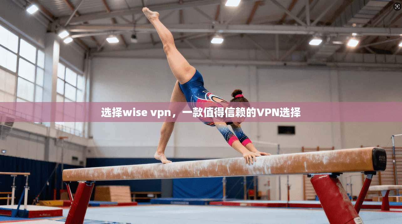 选择wise vpn，一款值得信赖的VPN选择
