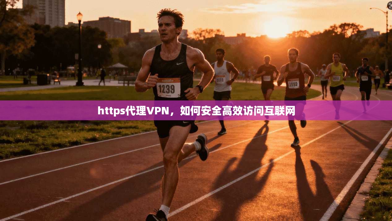 https代理VPN，如何安全高效访问互联网