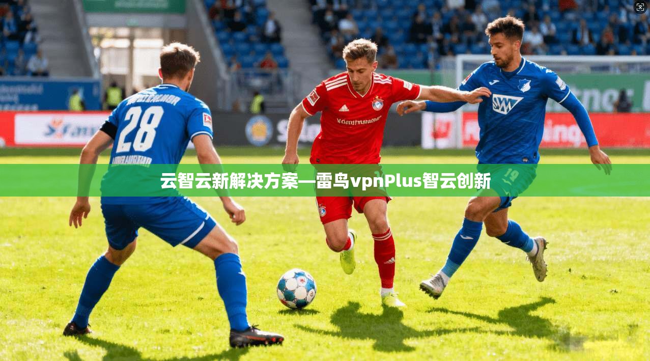 云智云新解决方案—雷鸟vpnPlus智云创新