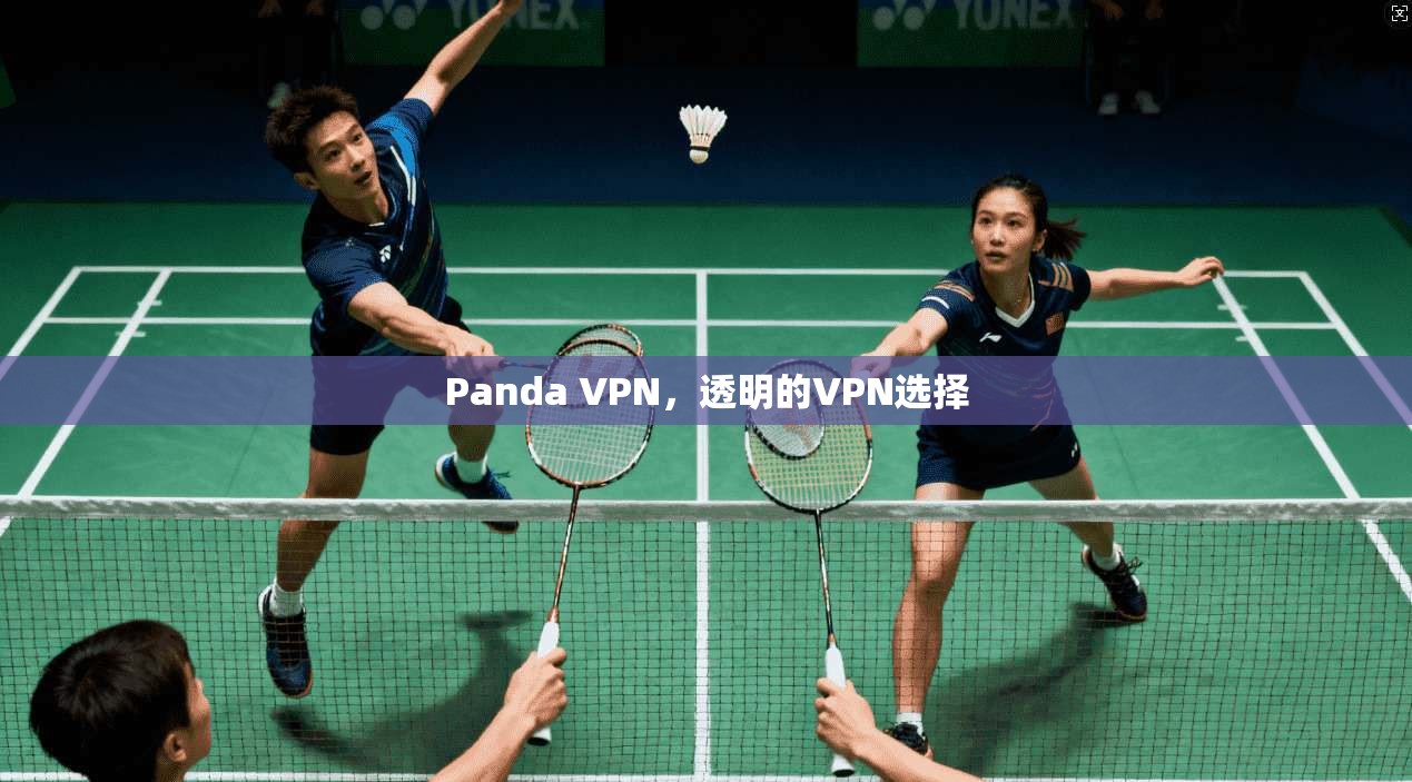 Panda VPN，透明的VPN选择