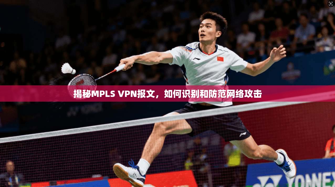 揭秘MPLS VPN报文，如何识别和防范网络攻击