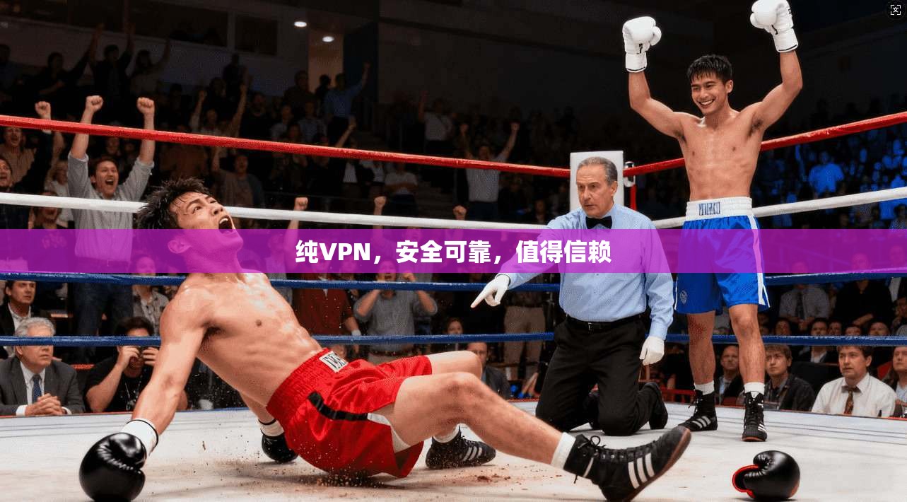 纯VPN，安全可靠，值得信赖