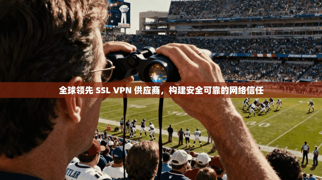 全球领先 SSL VPN 供应商，构建安全可靠的网络信任