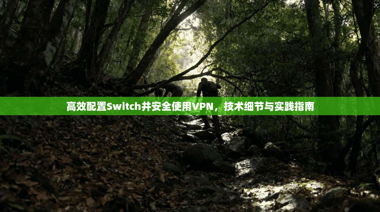 高效配置Switch并安全使用VPN，技术细节与实践指南