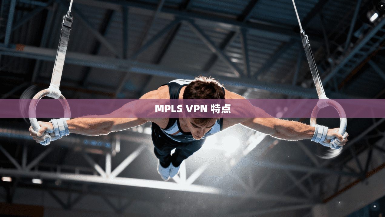 MPLS VPN 特点